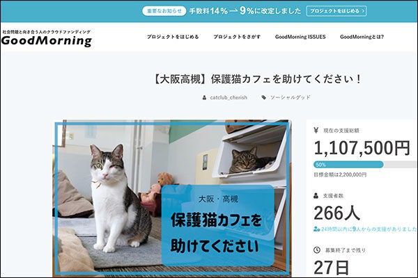 阪急高槻市駅ちかくの 猫とハリネズミのカフェ Cherish がクラウドファンディングしてる 高槻つーしん