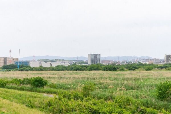 雅楽師の東儀秀樹が高槻市に「蘆(ヨシ)原焼き」をするよう署名あつめ