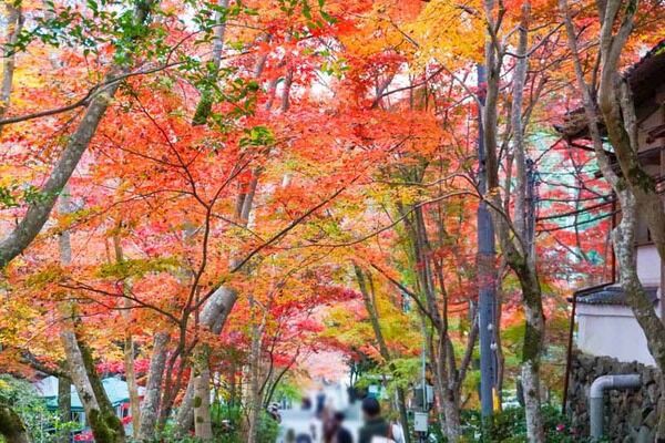 12 15放送のテレビ朝日 ノブナカなんなん でナジャ グランディーバたちが行った高槻市内の温泉はどこ たかつきクイズ 高槻つーしん