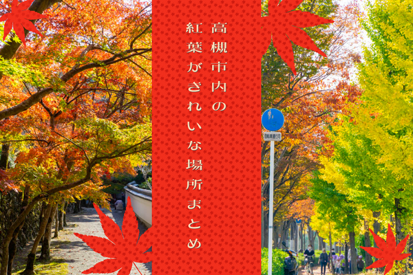 高槻市内の紅葉がきれいな場所一覧2025【たかつーまとめ】 : 高槻つーしん