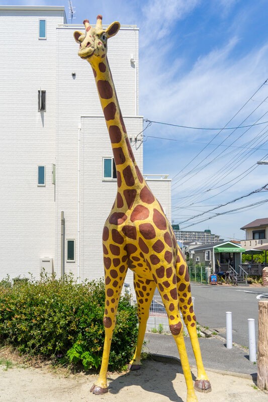 きりんさんデカすぎ公園【もりつーフォト】 : 守口・門真つーしん