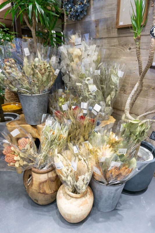 ららぽーとexpocityにつくってたグリーン専門店 Sow The Farm Universal がオープンしてる 茨木つーしん