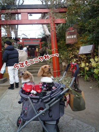 鶴岡 八幡宮 ベビーカー 置き場