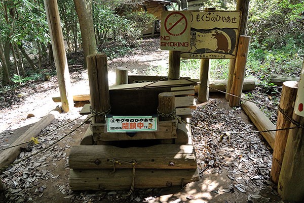 脱力紀行 運動の森公園 成田エアポートコース お水をどうぞ