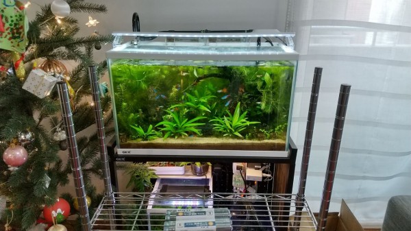 水槽台裏にラック追加 水槽台有効活用計画 Motiのアクアリウム記録 Moti Aquarium