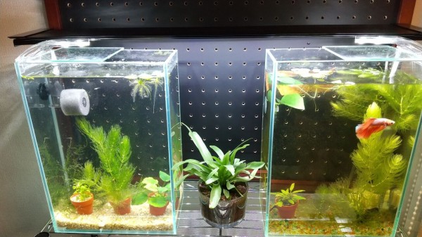 水槽台裏のラックの改良diyとか Motiのアクアリウム記録 Moti Aquarium