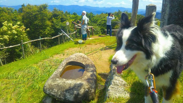 7 25 31 松阪市 堀坂山 白米城清掃登山 ひろいびと 清掃登山犬達と三重県の山ゴミ拾い清掃活動記録