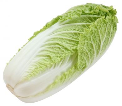 白菜は冷凍できる 保存方法と賞味期限まとめ 富士額の日常あるある