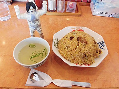 優遇有り 廃線 函館 ←→ 上磯 ◯函 / 裏逆 琺瑯板 廃線研究所 函館本線上砂川支線 現地調査2