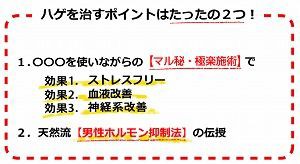 極楽育毛革命と頭皮の血行 逆立ちマッサージとは 極楽育毛革命 Mr 3日坊主 2ちゃんねる口コミ