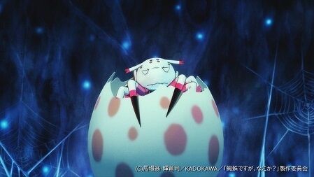 蜘蛛ですが なにか コミック版は可愛いが 蜘蛛ですが 目がある事で分かれる好み 二次元三次元
