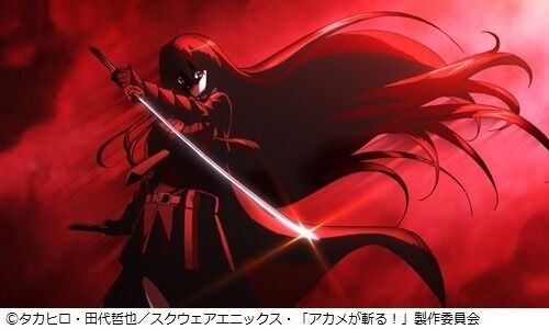 アカメが斬る まとめ 二次元三次元