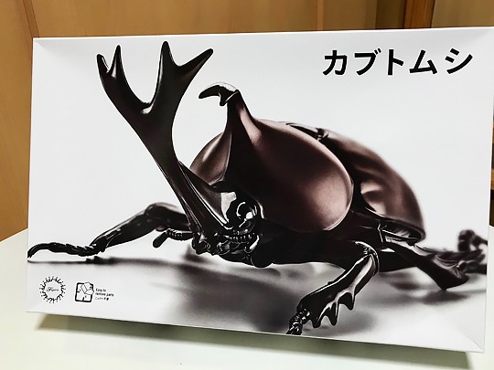 フジミ 自由研究21 いきもの編 カブトムシ 完成！ : ずっと