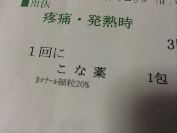 子供が耳が痛いと言い出せば かなりの確率で中耳炎 ウチの娘の社長っぷり