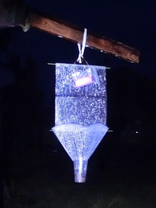 灯火採集 ライトトラップ 250W クワガタ 昆虫 メタルハライドランプ