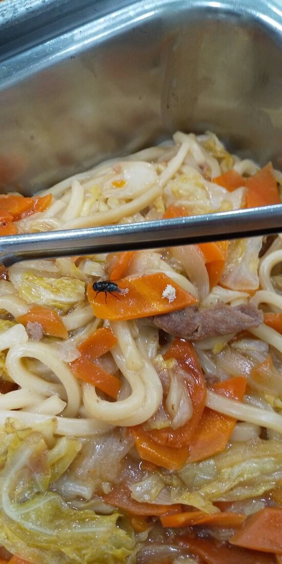 画像 ビュッフェの料理にハエが卵を産んでてワロタ まとめも