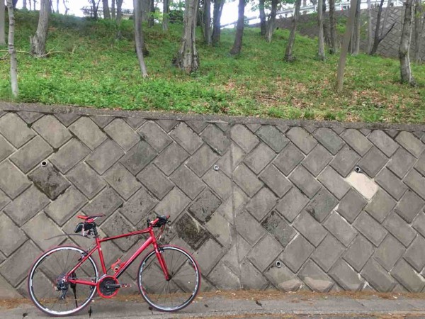 自転車記事 プレシジョンスポーツg 頭がお花畑野郎の日記
