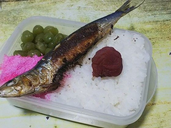 お弁当 アニメ となりのトトロ 食品食材探訪記 自分図鑑 Since 08 July