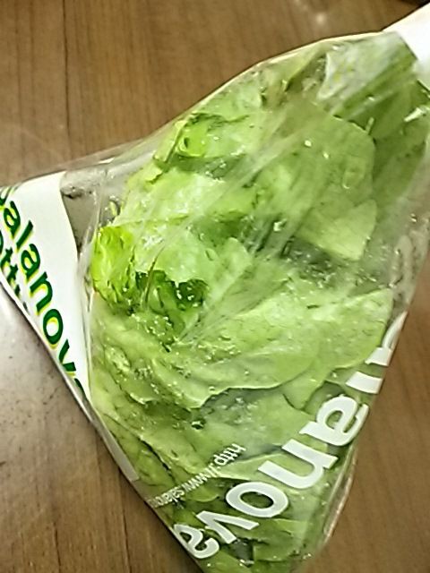 市場 サラノバ グリーンオーク