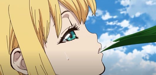 肺炎連鎖球菌 アニメ Dr Stone 十五話 食品食材探訪記 自分図鑑 Since 08 July