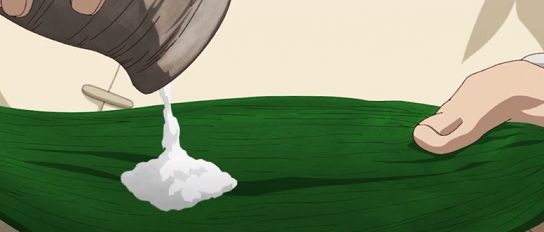 肺炎連鎖球菌 アニメ Dr Stone 十五話 食品食材探訪記 自分図鑑 Since 08 July