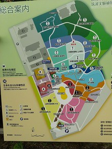 筑波実験植物園 Tsukuba ebuch つくば日記