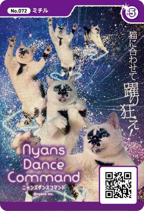 ミーちゃんがカードになったよ : 海の近くに猫と住んでる