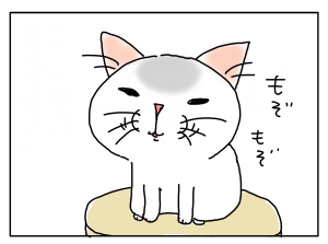 猫のあくび顔 猫と一緒 Powered By ライブドアブログ