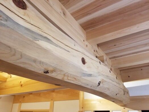 清涼たもと日本のクリ土台角と、地松ごろんぼと兵樟と、ピュアラーチ