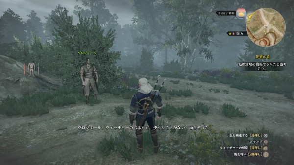 帰ってきた ウィッチャー3 ワイルドハント Ps4 今更前に買ったまま放置していたdlc 無情なる心 をクリアしました 何この胸えぐるストーリー むぅむぅはうす日記