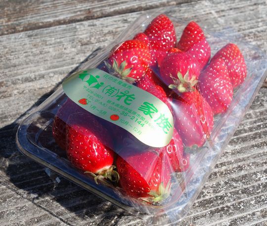 美少女と熟女 しおばら いちごランド 花家族 いちご畑 那須塩原市 1000円グルメの旅 Powered By ライブドアブログ