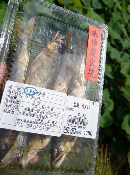 ご当地おサカナめぐり六匹目 天然鮎と養殖鮎 ～久那瀬漁業生産