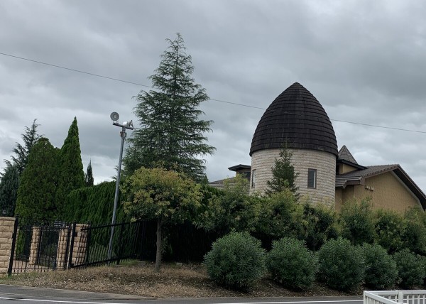 どちらにするか レストランアルシオーネ コエナカフェ 佐野市 1000円グルメの旅 Powered By ライブドアブログ