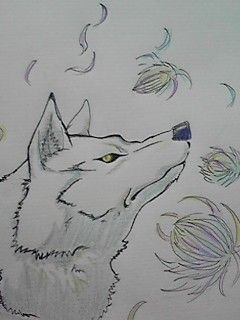 ｳﾙﾌｽﾞﾚｲﾝｷﾊﾞ 六戯 状況中