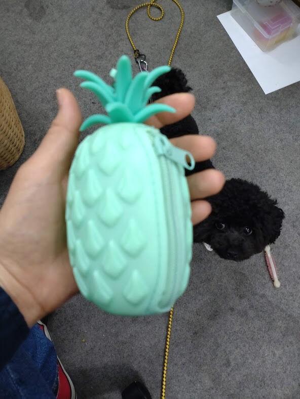 シリコン製パイナップルポーチ入荷しています！ : MuuMuuMamaの