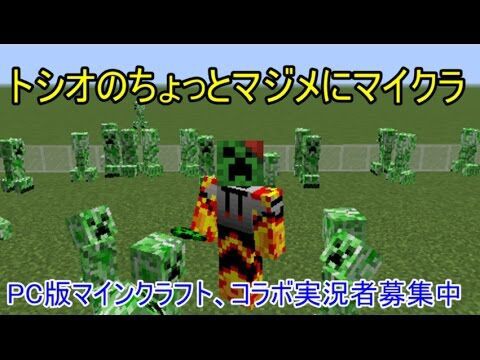 子供のyoutubeを一発で見るのを止めさせる方法 マインクラフト トシオのちょっとマジメにマイクラ Part02 ライブ実況 W 子供 ユーチューブ危険 タイマー付きユーチューブ