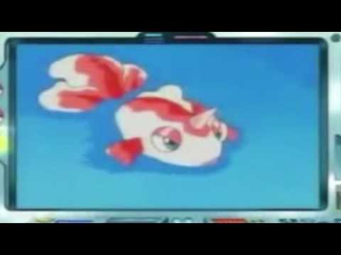 トサキント オーキド博士のポケモン講座 俺のyoutube