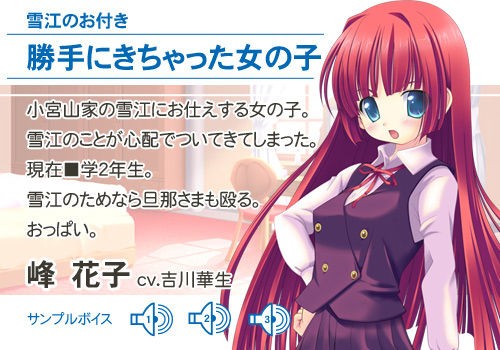 エロゲの可愛いヒロインの名前が古風だったらどうよ 旧エロゲ情報とりあえずまとめ