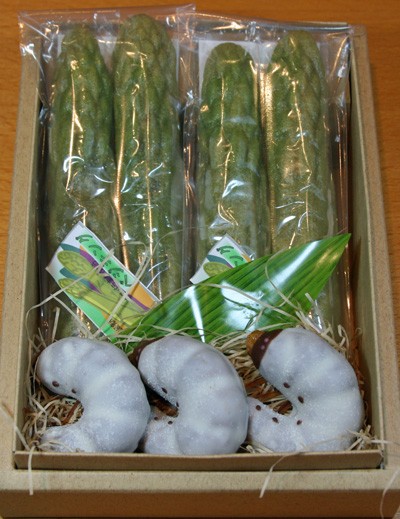 カブトムシの 幼虫チョコ 連日1時間で完売 僕的dqn Dailyquicknews ドキュ速 だった