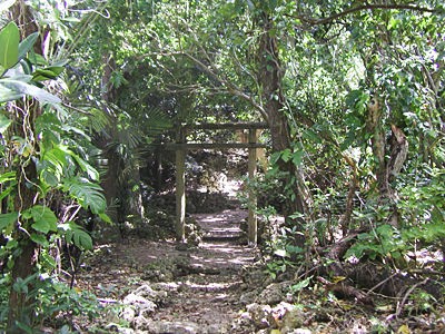 沖縄 新城島の禁忌の地 人魚神社 ミステリウム