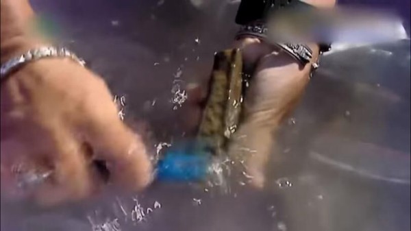 ヘラクレイオンの不思議 Mysteryhunterのblog