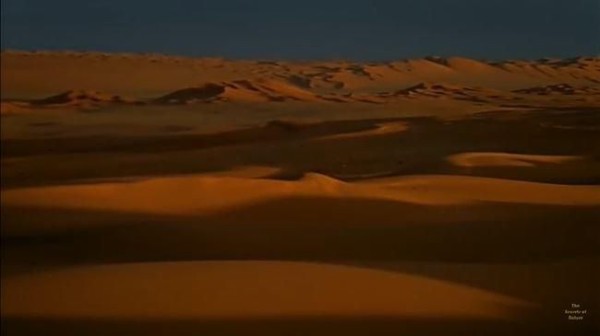 砂漠からの水の不思議 Mysteryhunterのblog