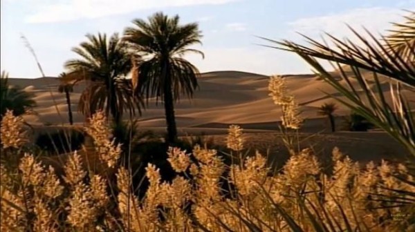 砂漠からの水の不思議 Mysteryhunterのblog