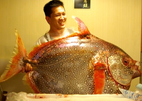 マンダイを食す 河岸頭 築地 自己ベスト更新中