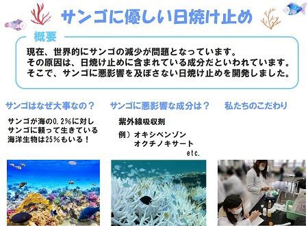 安い 日焼け止め 水質への影響