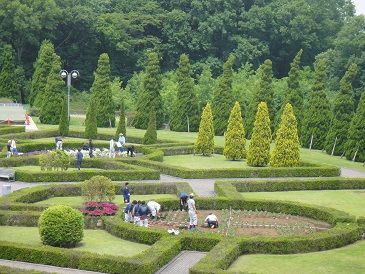 自分たちのデザイン 植栽 土木 造園科