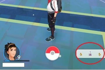 ポケモンgo初級 舞い散る草 足跡とシルエット いい大人がポケモンgoに人生の１ページを捧げてみる
