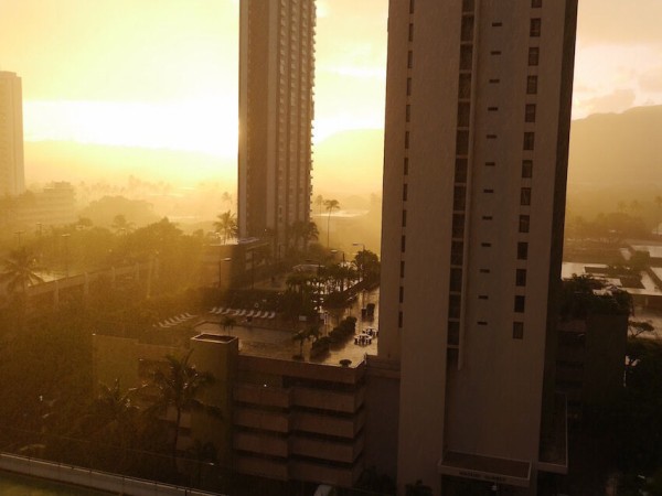 71 ニシンの骨 N U M B E R