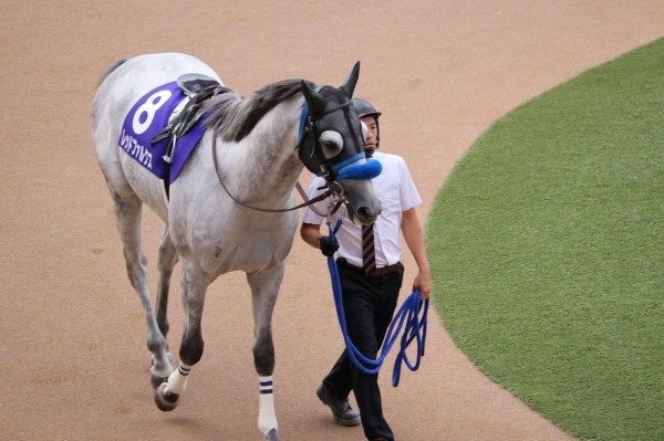 スプリンターズステークス行ってきたpart1 なべなべのまったり競馬ブログ