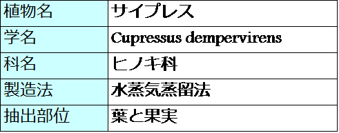 サイプレスのアロマオイル 精油 効果効能 アロマでストレスに強くなろう ｈａｐｐｙ ｌｉｆｅ